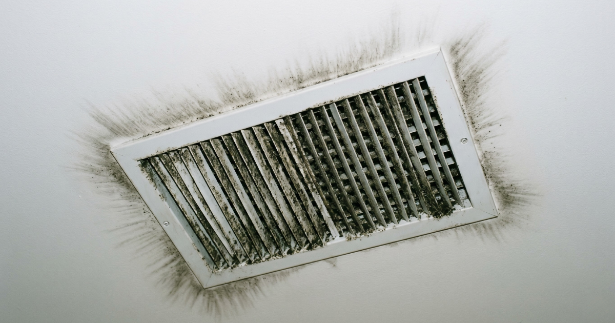 HVAC Mold Remediation in NYC: Cost & Process