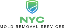 NYC Mold Removal Services