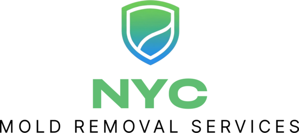 NYC Mold Removal Services — Licensed mold remediation in New York City